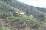 Finca von Weitem 1