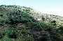 Finca von Weitem 2