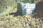 Tank 2
