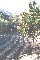 Weitsicht