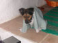 Dach mit Kamin