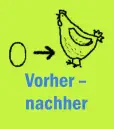 Vorher – nachher