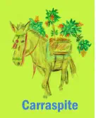 Carraspite